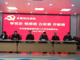 舒城县城关二小党支部开展“学党史 悟思想 办实事 开新局”主题党日活动