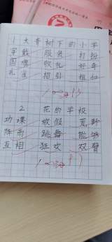 林华：一切都是最美的遇见  2020年长三角地区骨干教师交流研修心得体会