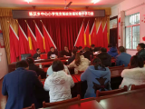 宿松县陈汉乡中心小学党支部开展党史学习活动