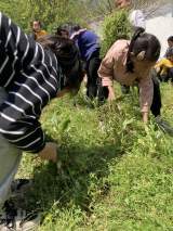 双手扮靓幸福园  汗水浇灌文明花 ——绩溪县金沙学校重视加强对学生的劳动教育