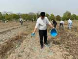 芜湖市青少年社会实践基地：开心农场，咱们种菜吧