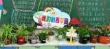 合肥经开实验自贸区学校（小学部）开展班级植物角建设活动