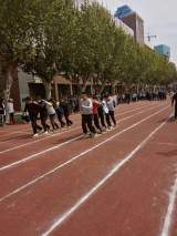 赛场展英姿，勇夺三连冠  —— 怀远县新城实验学校在全市职工运动会中喜获佳绩