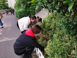 合肥市和平小学花冲分校体教师开展“捡拾垃圾、美化校园环境”志愿服务活动