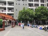 防震减灾，从我做起 ——合肥市逍遥津小学金都校区开展512防震减灾主题活动       