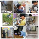 小手指 大能量 ——记合肥杏林小学“五一”劳动体验活动
