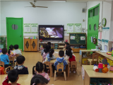 小眼睛看世界——合肥市宿州路幼儿园5.18国际博物馆日活动
