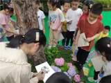 合肥市双岗幼儿园教育集团总园:你看我们的绣球花开啦！ ——大班年级组户外写生活动