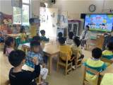 幼小初体验  成长乐分享——合肥市双岗幼儿园教育集团总园大班年级组开展“幼小衔接”主题系列活动