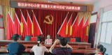 宿松县陈汉乡中心小学开展爱国主义读书活动
