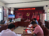 宿松县木梓初中党支部举行党史学习教育专题党课