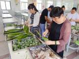 肥东特教学校：喜迎华诞 “粽”情满园