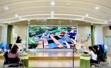 一草一木皆课程 潜心教研促成长  ——合肥市宿州路幼儿园湖畔分园自然课程分享活动            