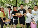  合肥市芙蓉小学第八届采摘节欢乐开幕