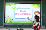 愛眼護(hù)眼 從我做起——合肥市蚌埠路第四小學(xué)開展“愛眼日”系列活動(dòng)
