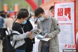 高校组织校园招聘需要什么条件？明确了！