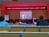 潜山市梅城小学党支部集体收看庆祝中国共产党成立100周年大会直播