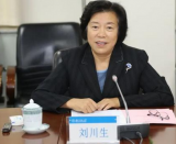 北师大党委原书记刘川生主动投案