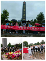 宿松县佐坝中小支部开展瞻仰烈士园活动