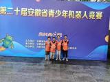 合肥市螺崗小學勇奪青少年機器人競賽三個省一等獎