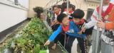 真“得味”！合肥一小学劳动课带学生挖芋头