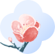 江城行 —— 金寨縣校園長(zhǎng)武漢國(guó)培之一  