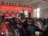 宿松縣馬塘學校黨支部召開學習貫徹十九屆六中全會精神專題會