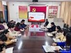 合肥市蚌埠路第四小学党支部学习贯彻省第十一次党代会精神