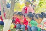 合肥市荣城幼儿园教育集团总园小二班展开了《枝枝丫丫》的特色活动