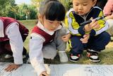 回歸自然，暢享秋趣——合肥市榮幼教育集團菱湖分園開展快樂大放送活動