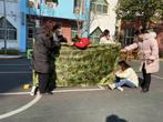 匠心巧手 玩转童年——合肥市荣城幼儿园教育集团总园足球专题教研活动