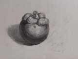 ​清华附中合肥学校素描俱乐部学生作品展示