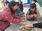 合肥市少儿艺术学校六（2）班开展冬至包饺子亲子活动