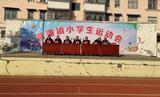 岳西县菖蒲镇首届小学生运动会成功举办