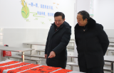 天长市第三中学开展“我们的节日—春节”寒假实践活动
