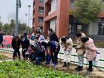 快樂種植 收獲成長——合肥市少兒藝術(shù)學校教育集團站塘校區(qū)開展油菜種植專題講座