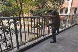 牢记安全使命，共筑平安校园——合肥市六安路小学中铁国际城校区进行安全隐患大排查
