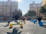 潤(rùn)物無(wú)聲，收獲成長(zhǎng) ——合肥市榮幼教育集團(tuán)總園開展幼兒期末綜合評(píng)價(jià)活動(dòng)