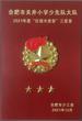 星星火炬----三星章榮譽(yù)勵(lì)成長——合肥市關(guān)井小學(xué)少先隊(duì)大隊(duì)喜獲佳績      