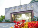 科大制备新型高性能柔性电子器件