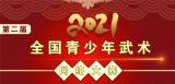 合肥市虹桥小学学子在全省武术大赛中尽显风采