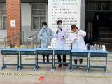 合肥市跃进小学落实五育并举开展科学秀活动
