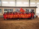 探秘六安王陵 —— 六安市雷锋路小学开展红领巾实践研学活动            
