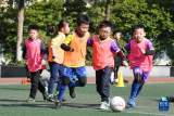 青岛中小学室外体育设施向社会开放