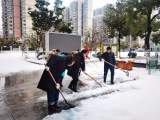 党员以雪为令 合肥市兴华苑小学铲雪除冰