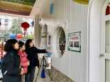 迎检促进，共求发展——合肥市宿州路幼儿园迎接督学专项督导检查  