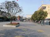 阜阳程集镇中心学校：春天的校园 明媚的笑脸