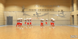  合肥市庐阳实验小学啦啦操比赛荣获佳绩