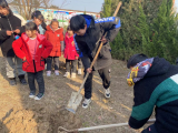 春天种下许愿树  陪伴孩子共成长 —— 怀远县龙亢镇学区寨头小学开展校园植树活动   