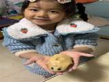 民俗雅趣庆佳节 团团圆圆闹元宵——合肥市双岗幼儿园教育集团开展元宵节劳动教育实践活动
